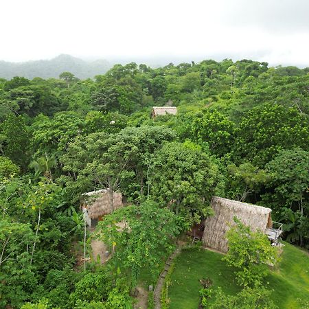 Tiny Houses Unique Tayrona - Dentro Del Parque Tayrona El Zaino Buitenkant foto