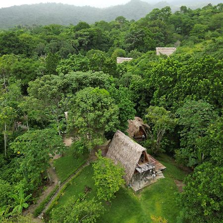 Tiny Houses Unique Tayrona - Dentro Del Parque Tayrona El Zaino Buitenkant foto