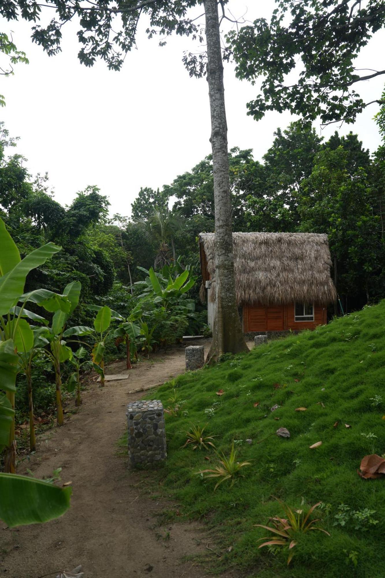 Tiny Houses Unique Tayrona - Dentro Del Parque Tayrona El Zaino Buitenkant foto