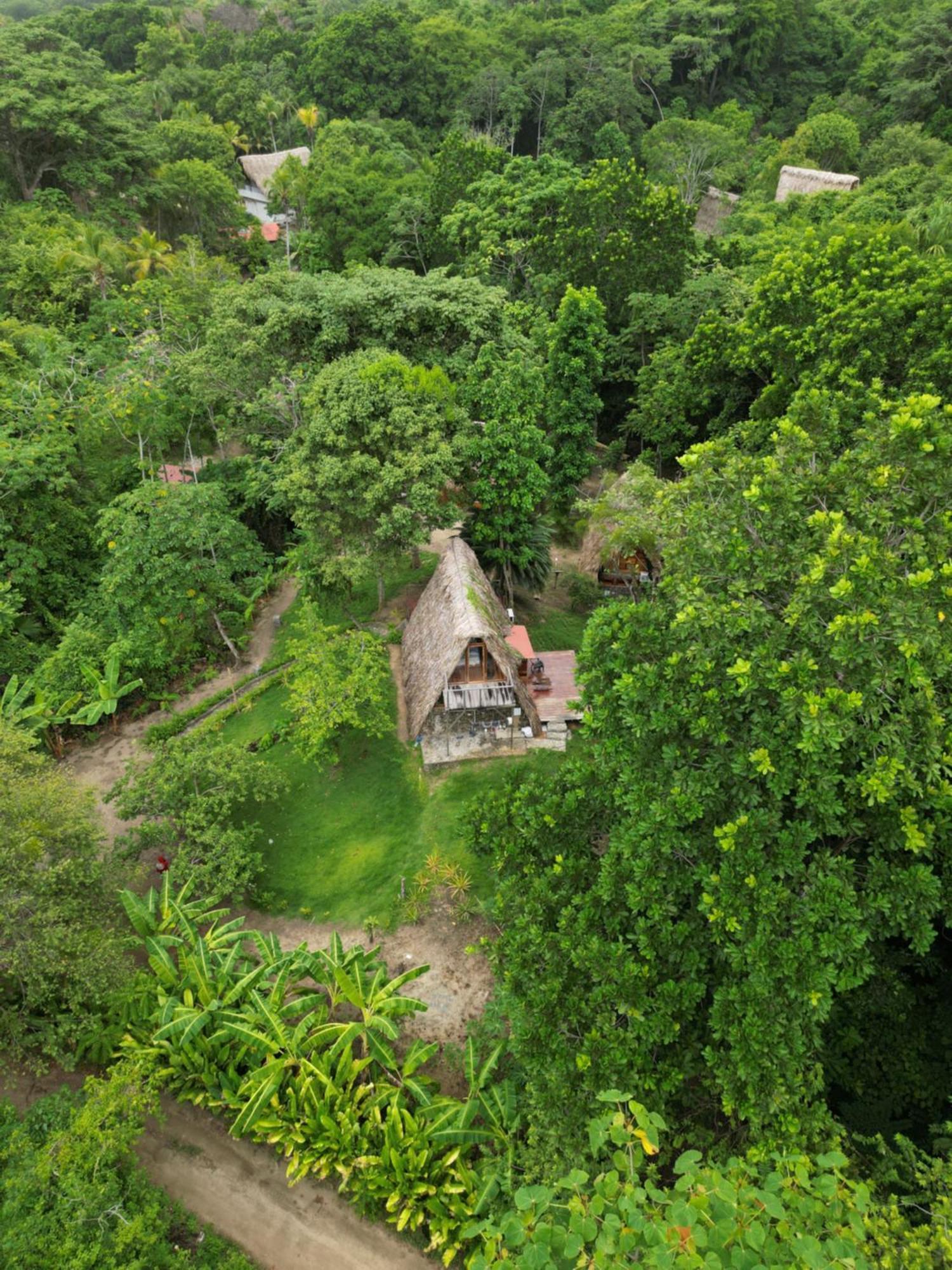 Tiny Houses Unique Tayrona - Dentro Del Parque Tayrona El Zaino Buitenkant foto