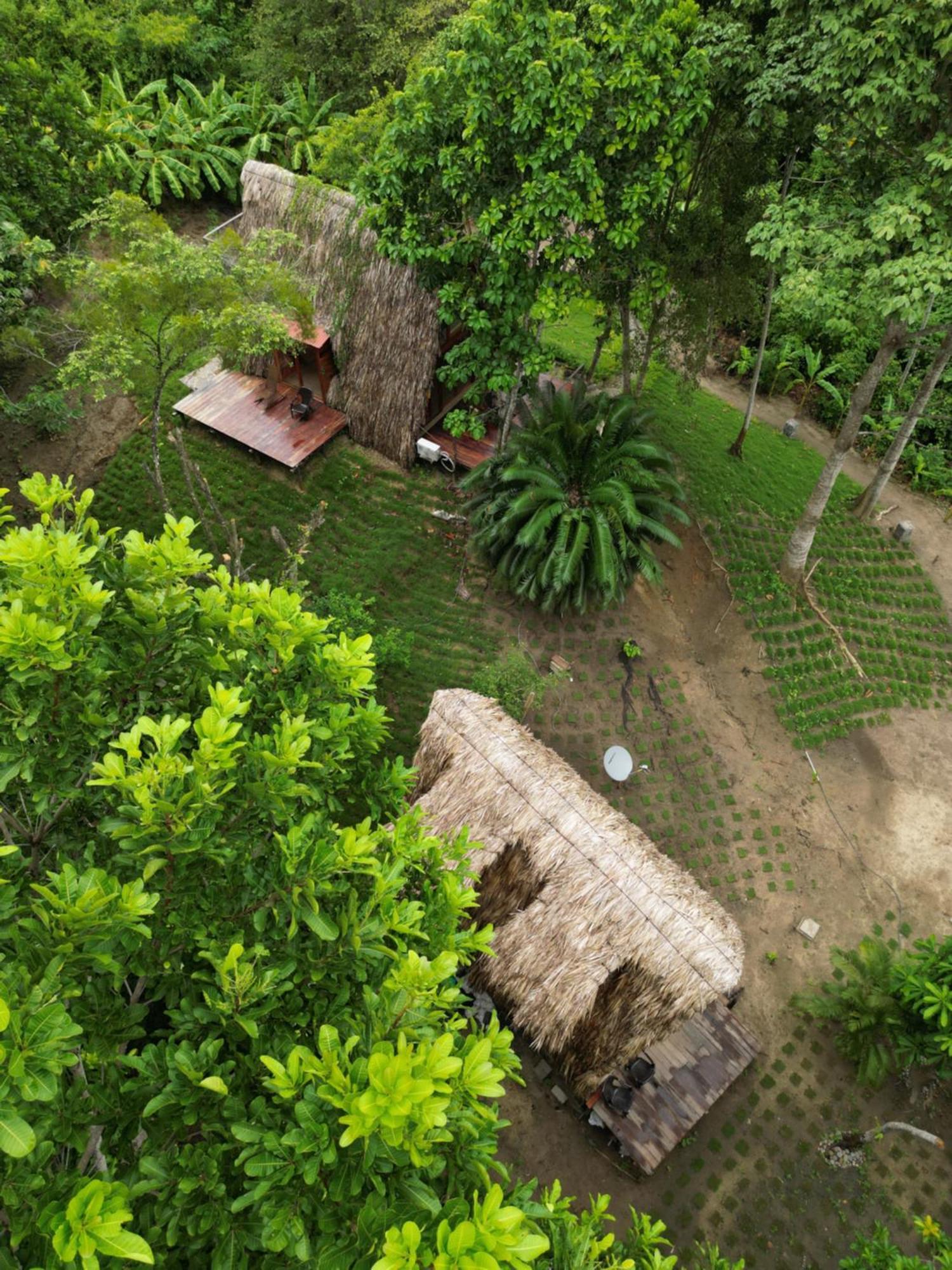 Tiny Houses Unique Tayrona - Dentro Del Parque Tayrona El Zaino Buitenkant foto