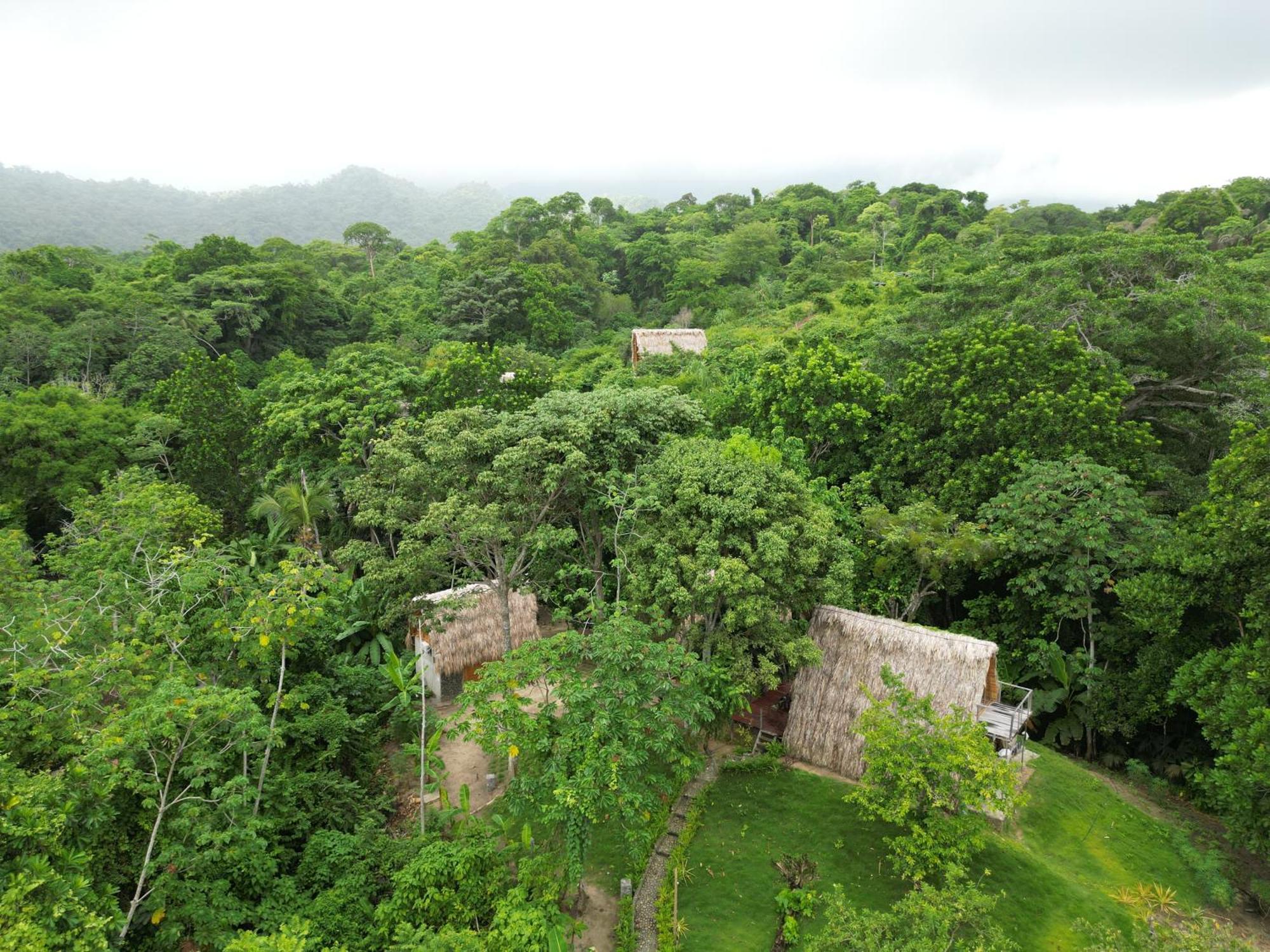 Tiny Houses Unique Tayrona - Dentro Del Parque Tayrona El Zaino Buitenkant foto