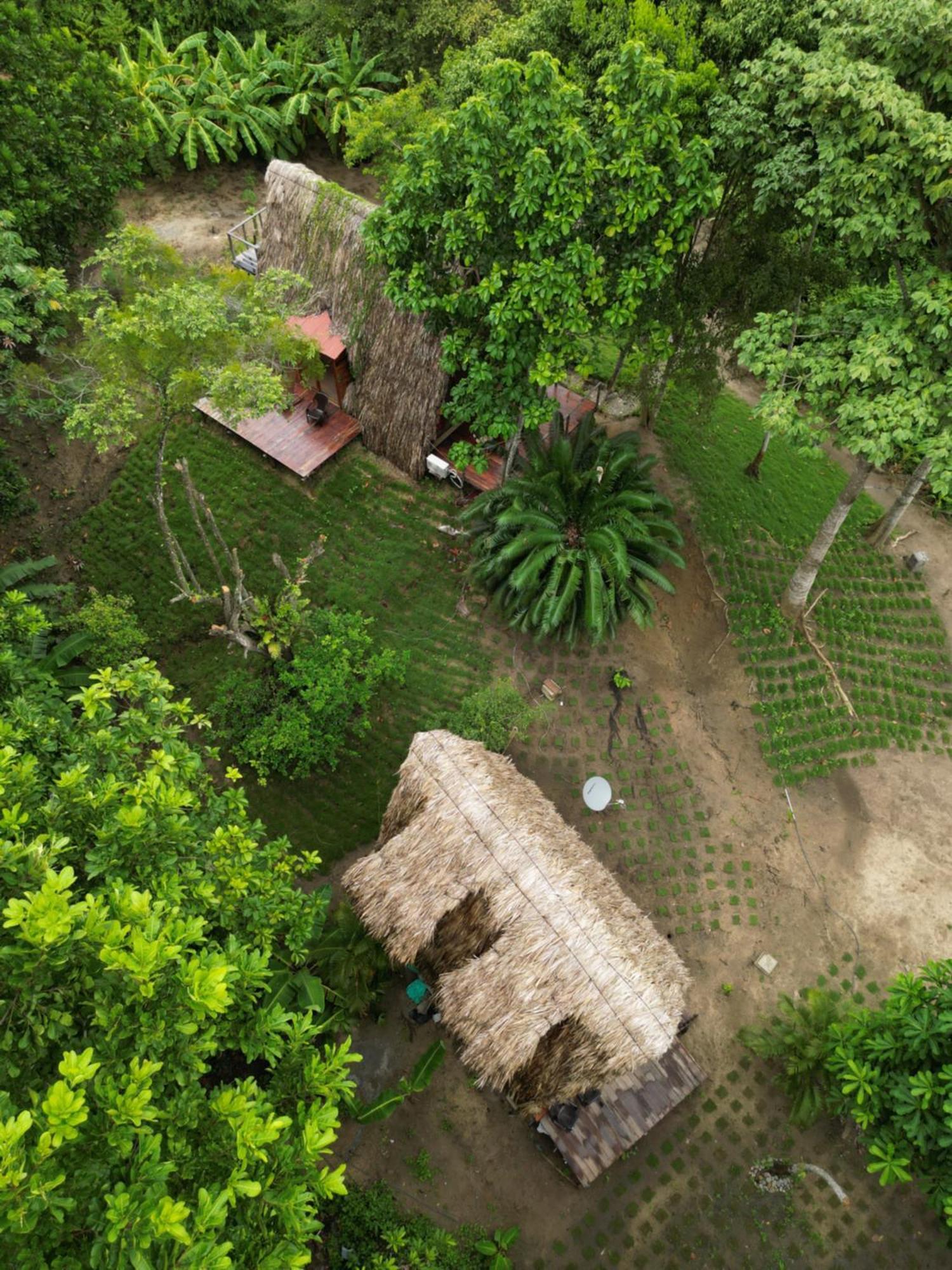 Tiny Houses Unique Tayrona - Dentro Del Parque Tayrona El Zaino Buitenkant foto