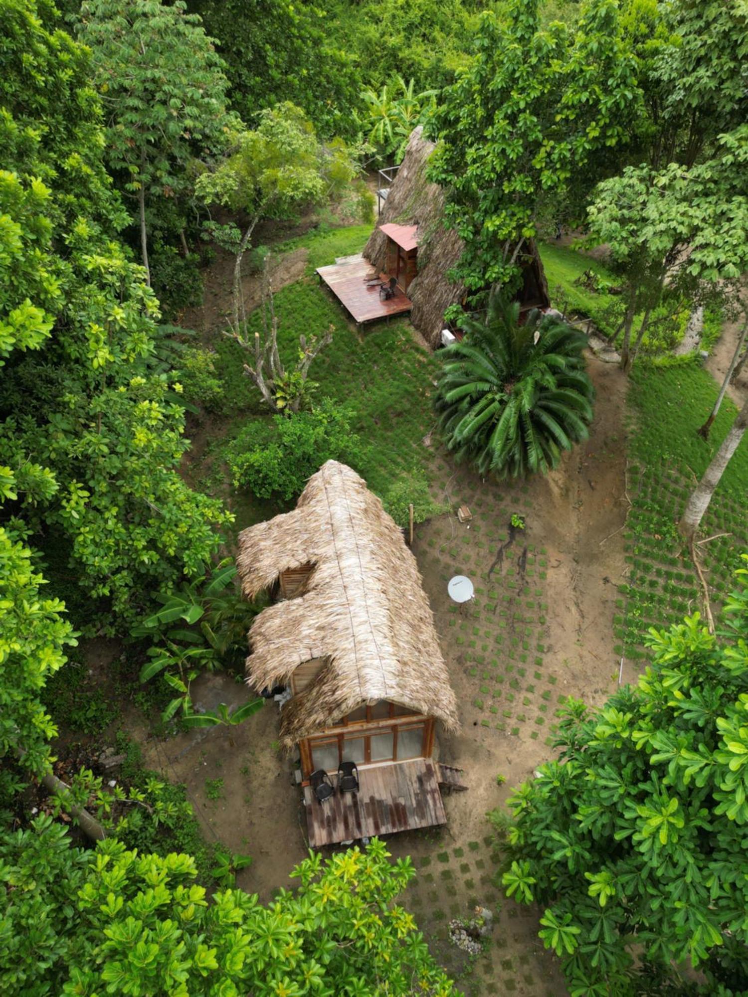 Tiny Houses Unique Tayrona - Dentro Del Parque Tayrona El Zaino Buitenkant foto