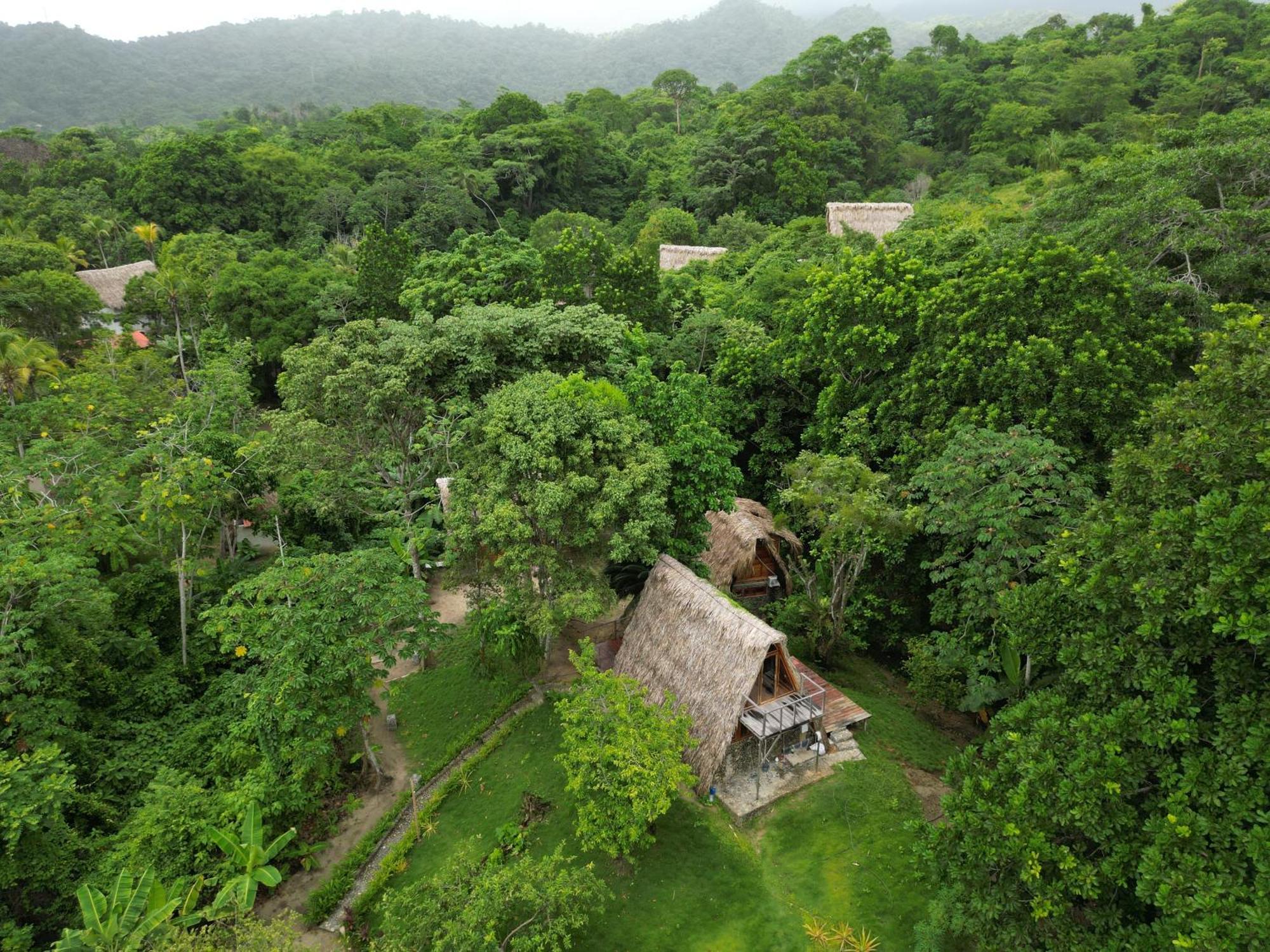 Tiny Houses Unique Tayrona - Dentro Del Parque Tayrona El Zaino Buitenkant foto