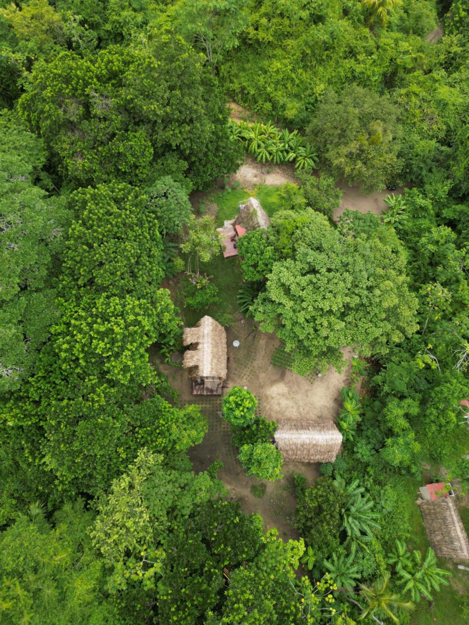 Tiny Houses Unique Tayrona - Dentro Del Parque Tayrona El Zaino Buitenkant foto