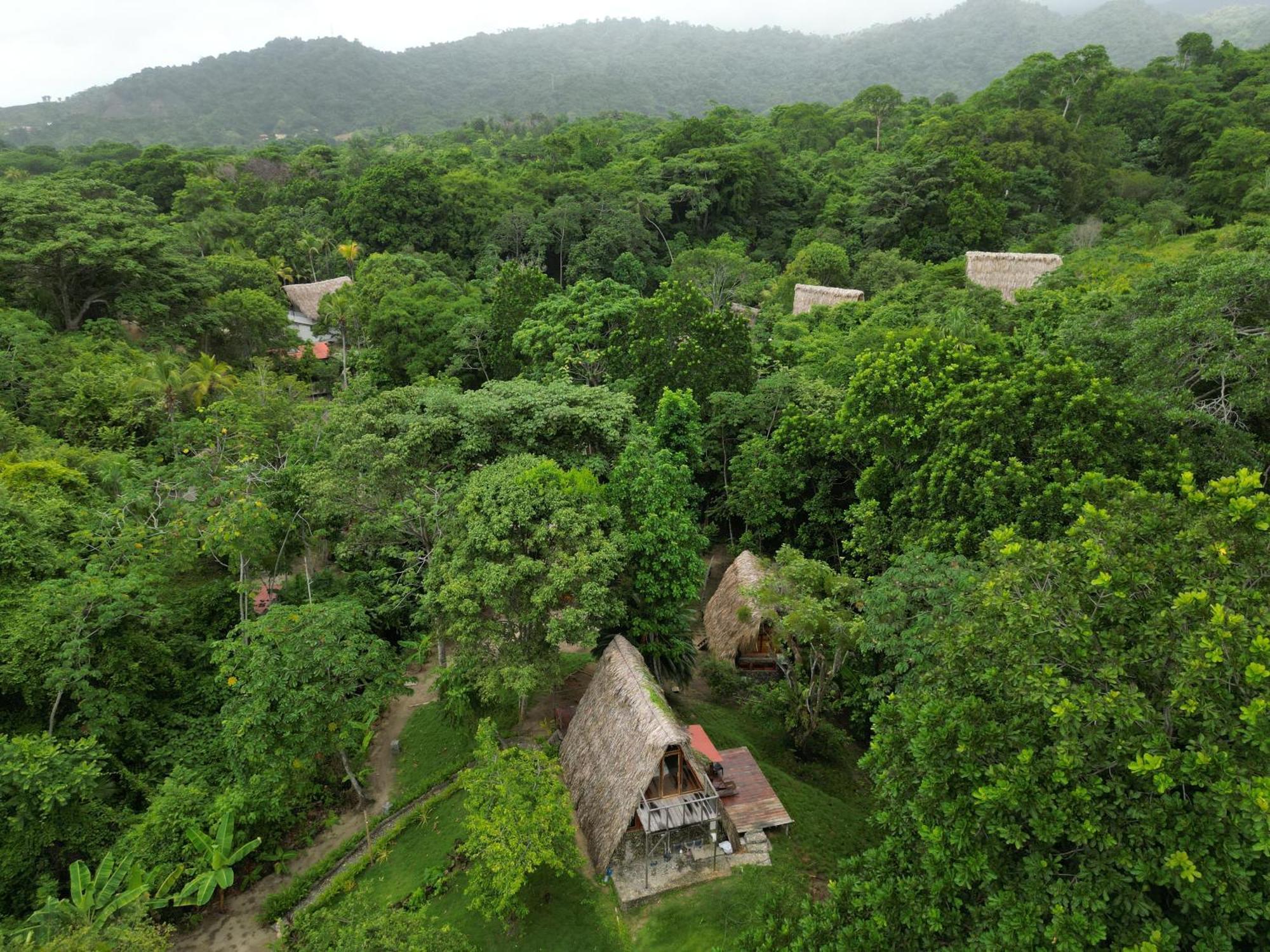 Tiny Houses Unique Tayrona - Dentro Del Parque Tayrona El Zaino Buitenkant foto