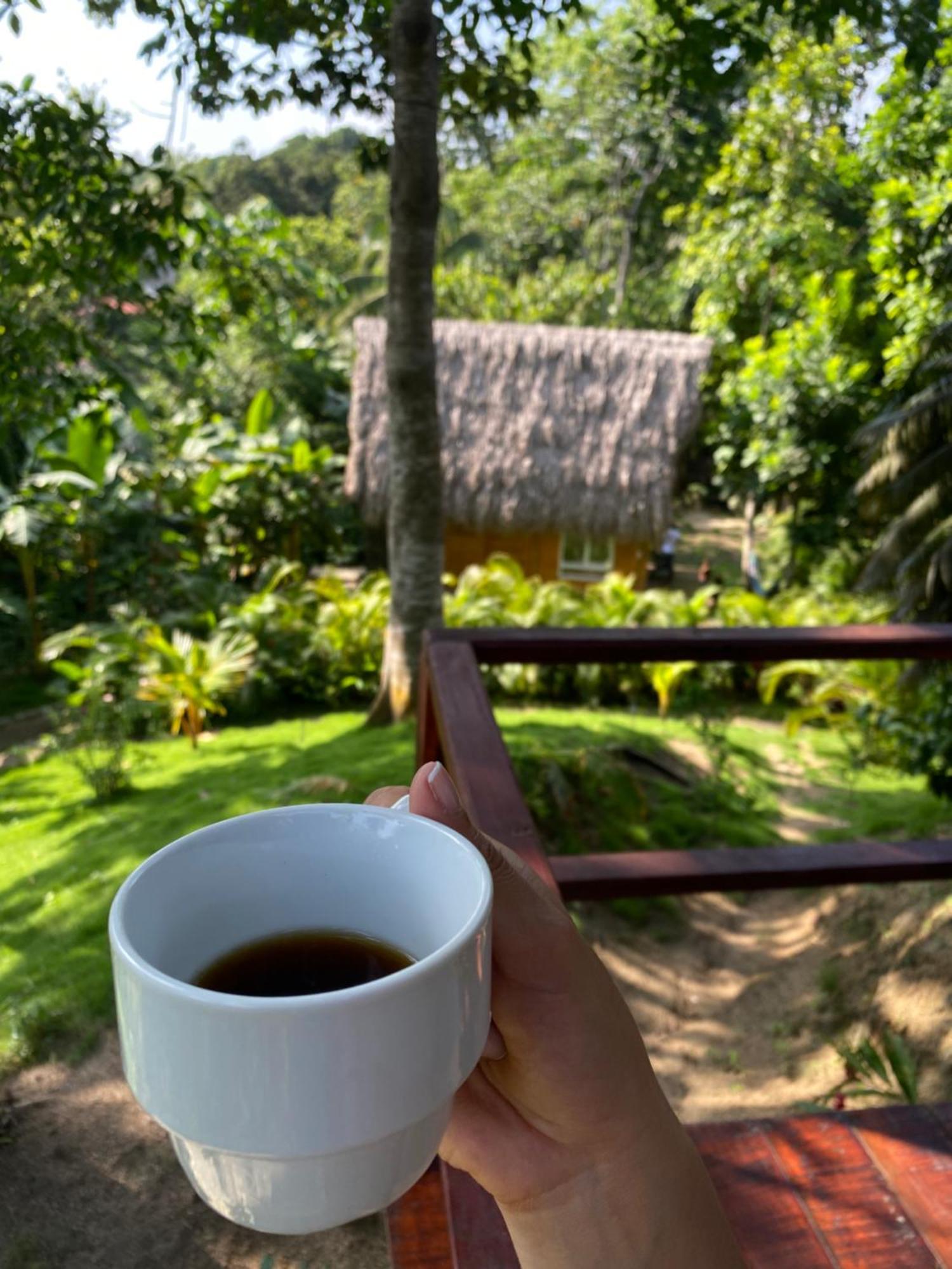 Tiny Houses Unique Tayrona - Dentro Del Parque Tayrona El Zaino Buitenkant foto